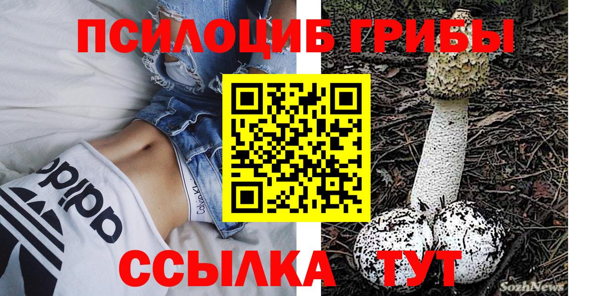 Псилоцибиновые грибы Magic Shrooms  Галлюциногенные грибы Psilocybe  Вход с VPN  Россошь 
